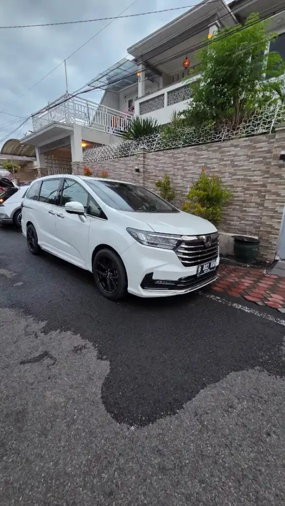 Harga cash honda odyssey 2021 original cat