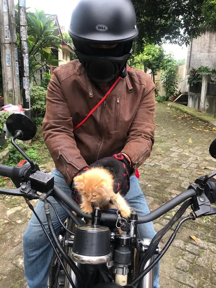 Jaket kulit asli