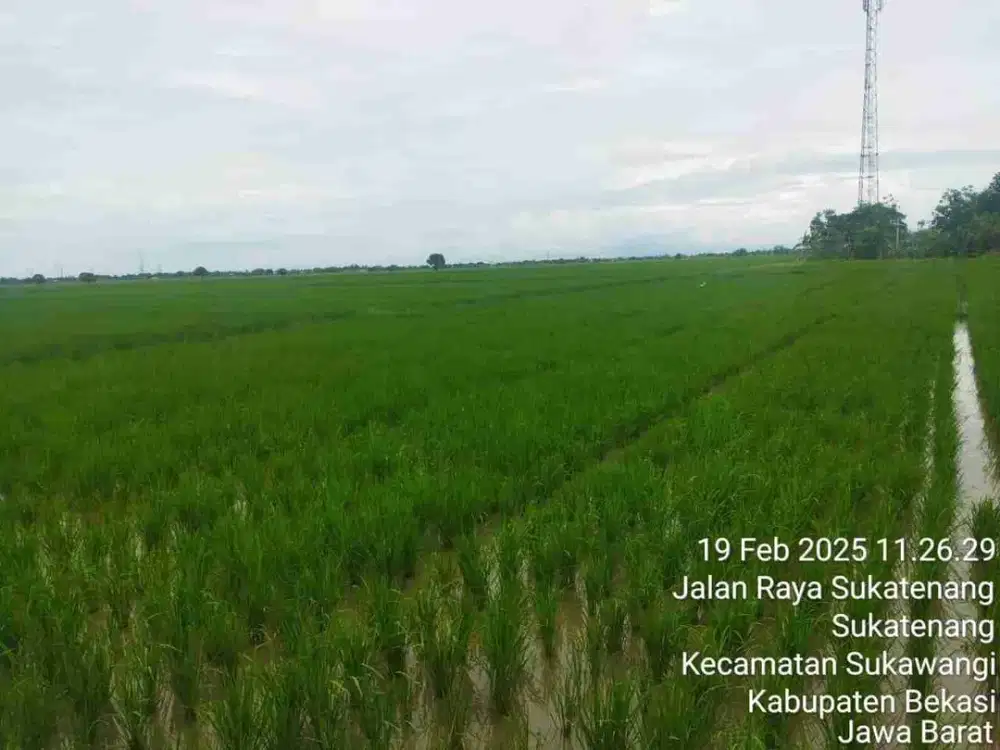 tanah sawah utk industri