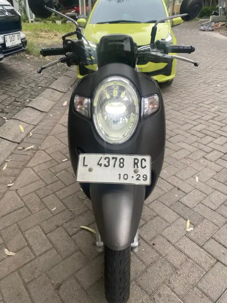 Honda Scoopy 2019