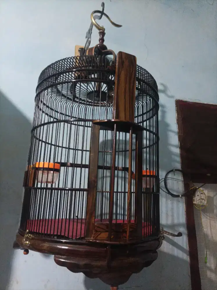 Sangkar Anis merah Sono Keling D.40