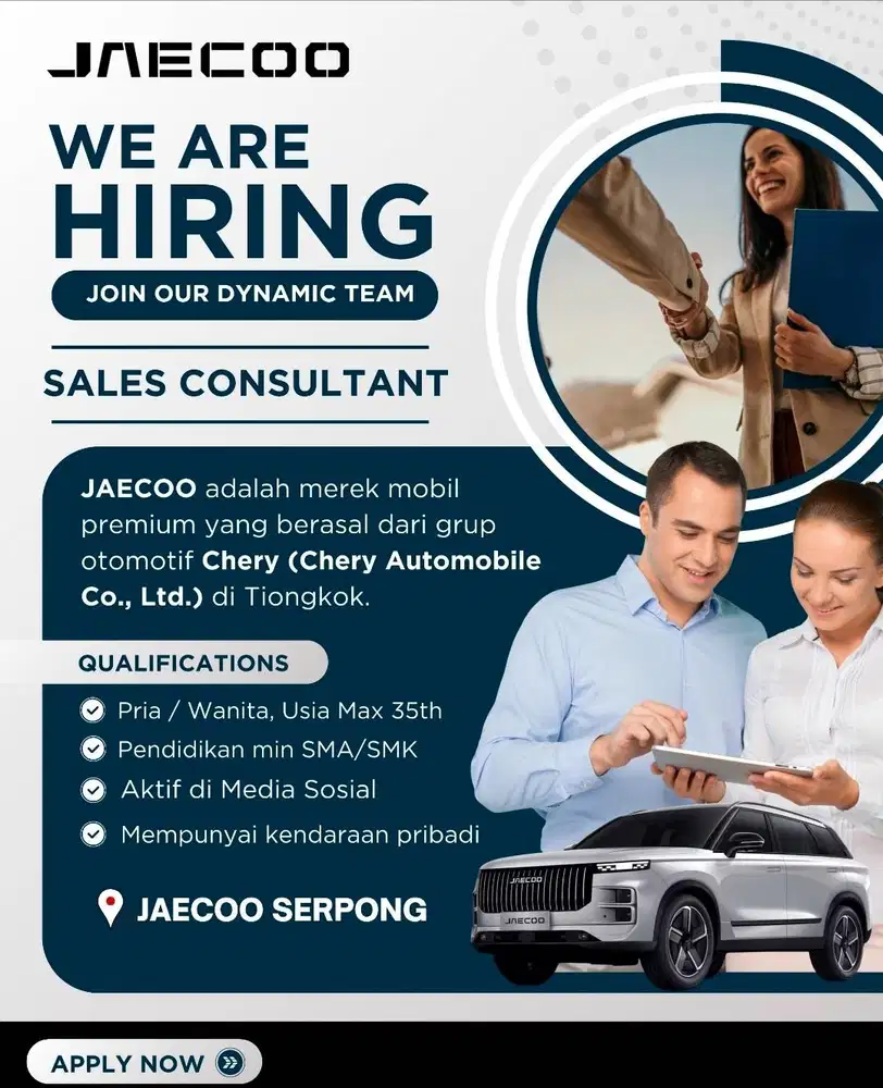 Sales Consultant