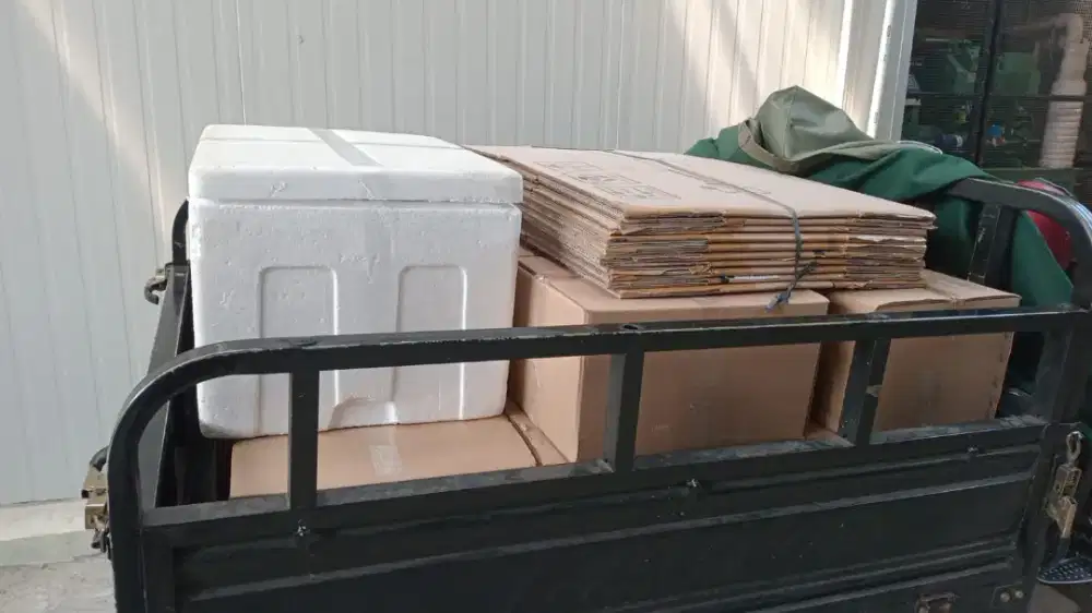 Pusat Grosir Daging Durian Medan