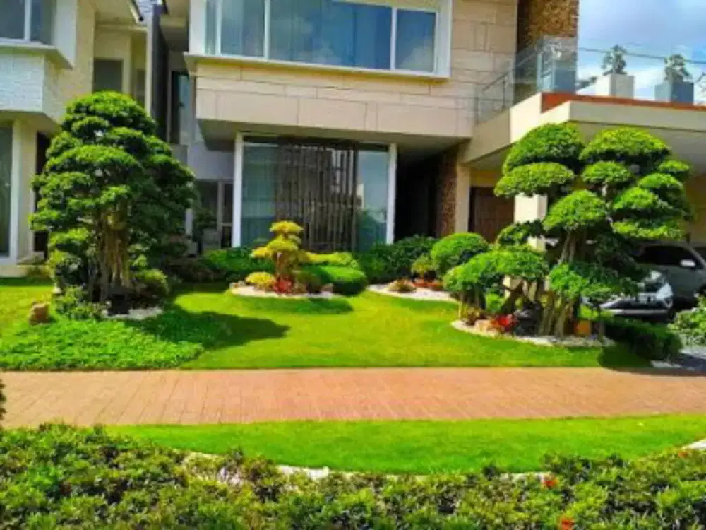 Jasa taman murah siap survai