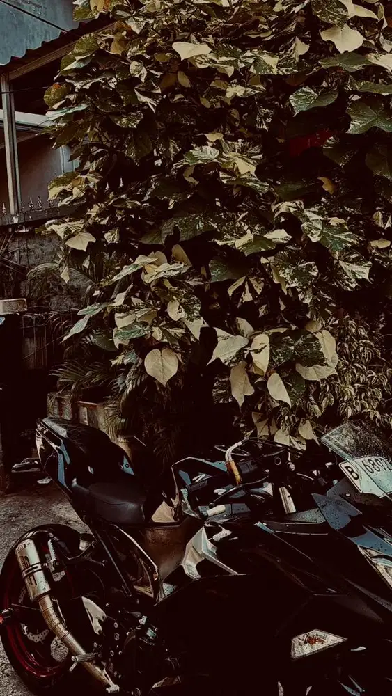 ALL NEW NINJA 250CC BLACK