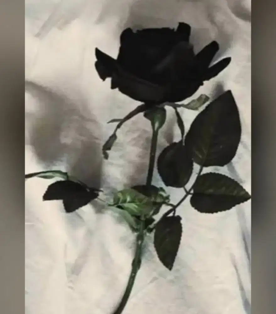 Jika ada yang butuh tenaga gosok beres rumah