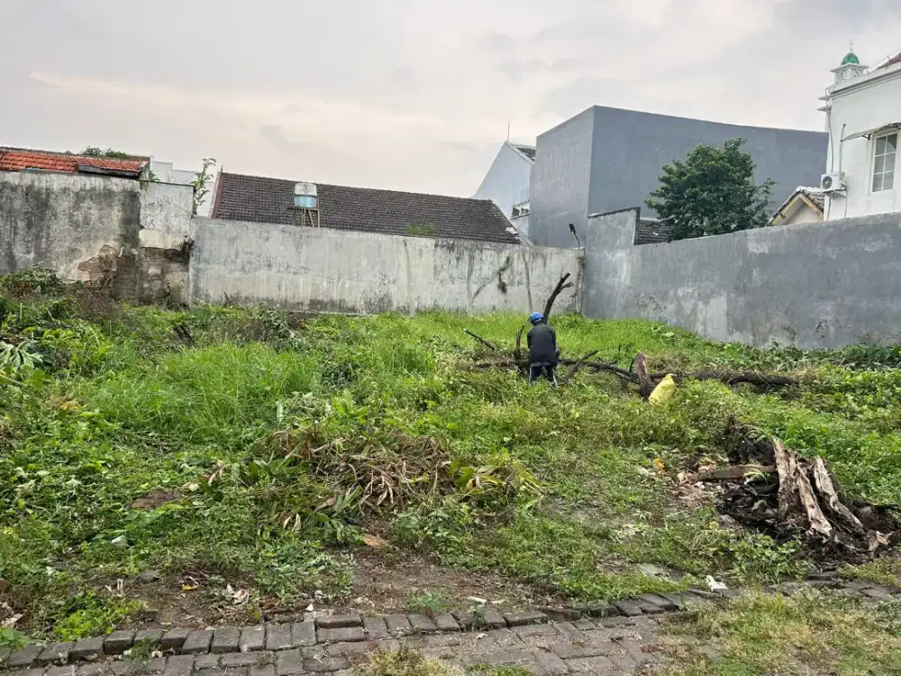 Tanah Murah Dekat Exit Toll Singosari Blimbing Prospek Untuk Hunian