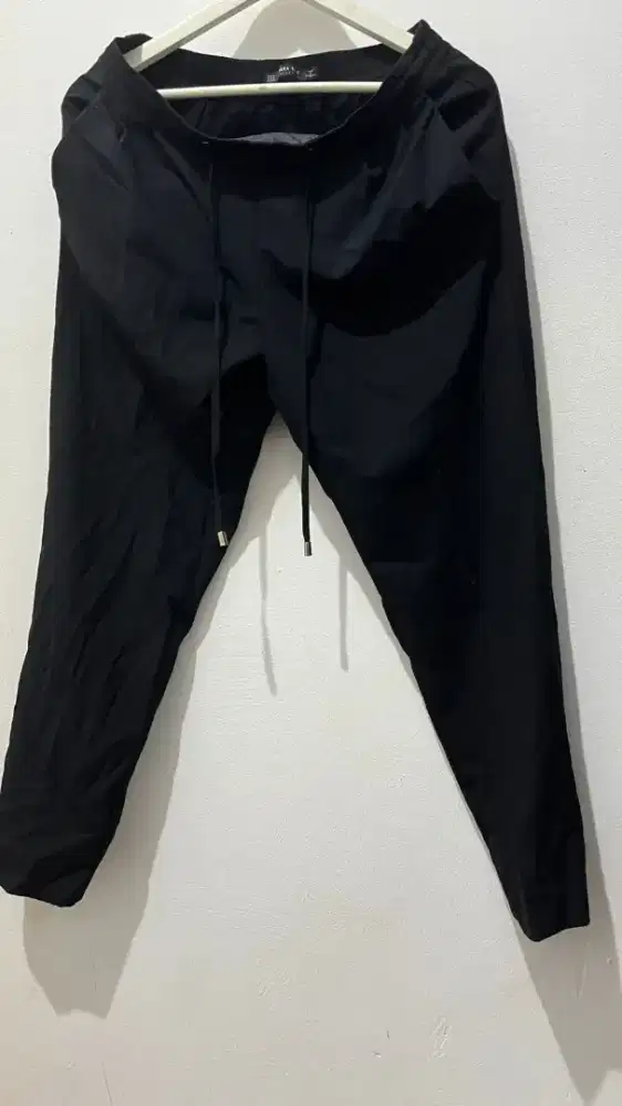 Zara basic pants