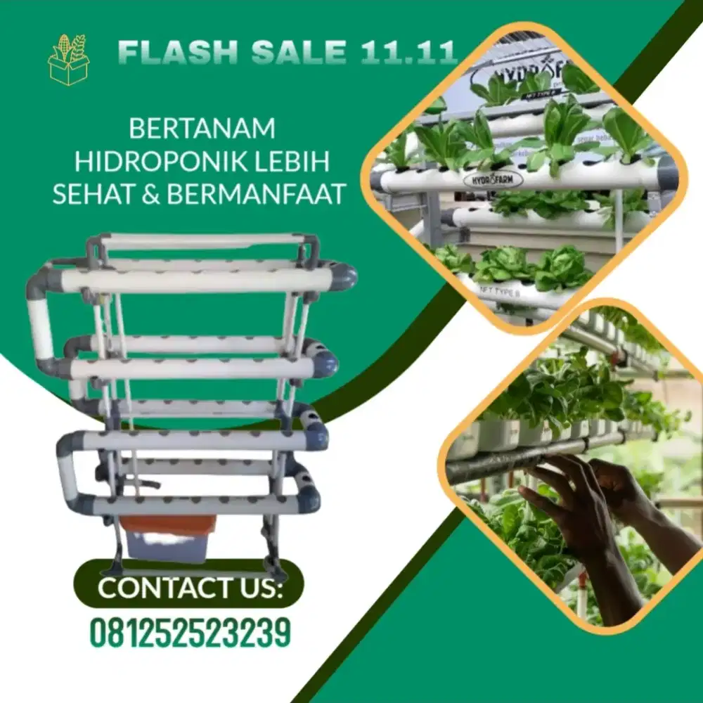 Modul Tanaman Hidroponik 60 Lubang Model Terbaru