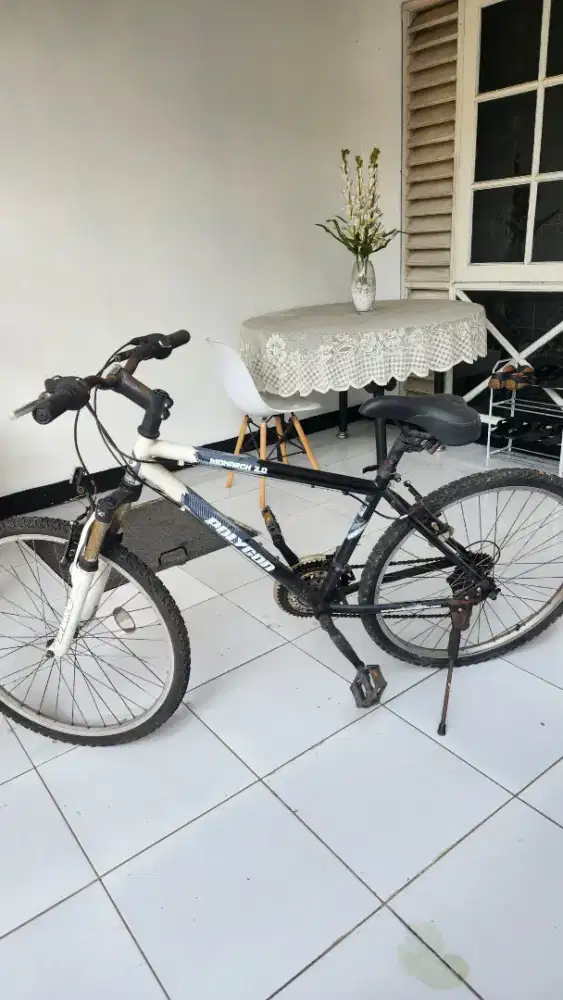 Sepeda Polygon monarch 2.0