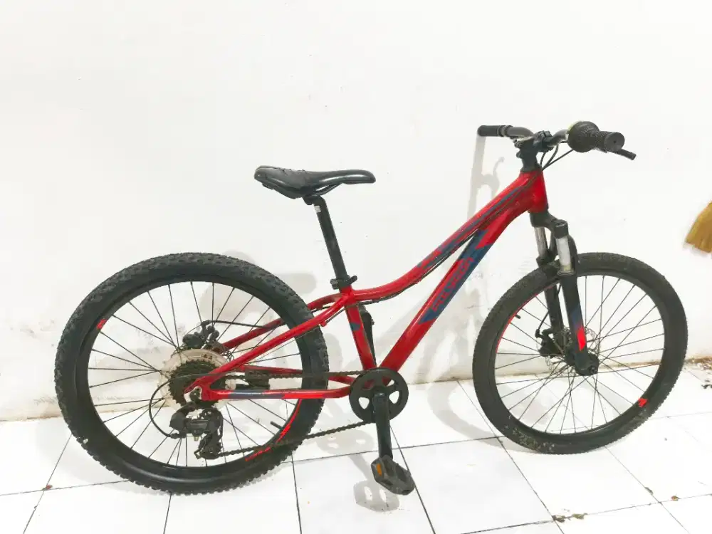 Polygon relic 24in aloy