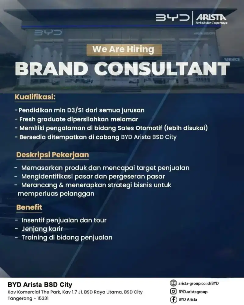 Lowongan Brand Consultant BYD BSD