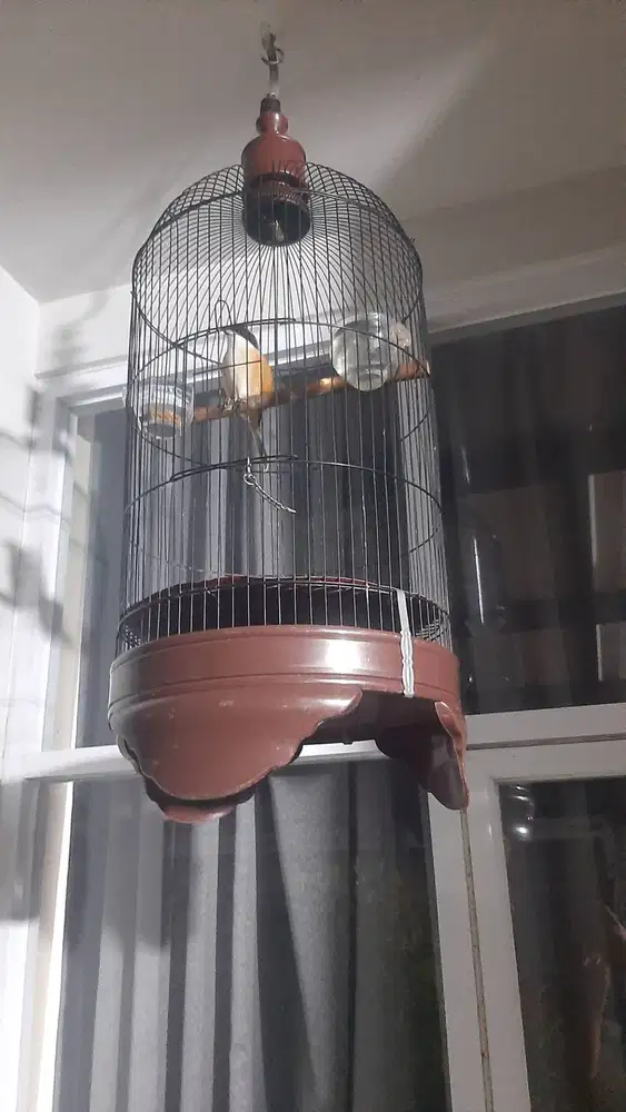 Jual pentet fullsett kadang