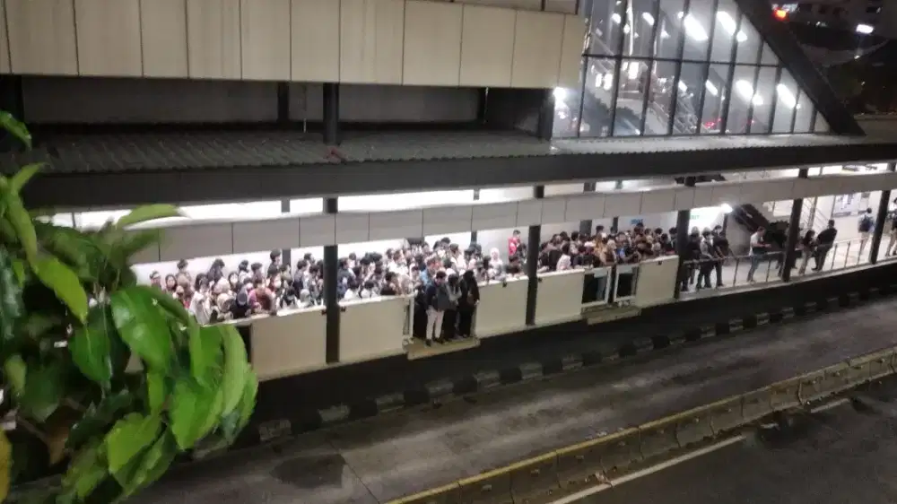 Sedang mencari lowongan pekerjaan