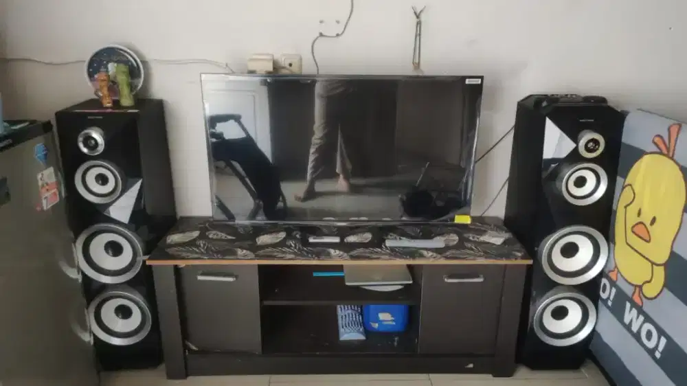 Speaker Activ Polytron PAS 8B22