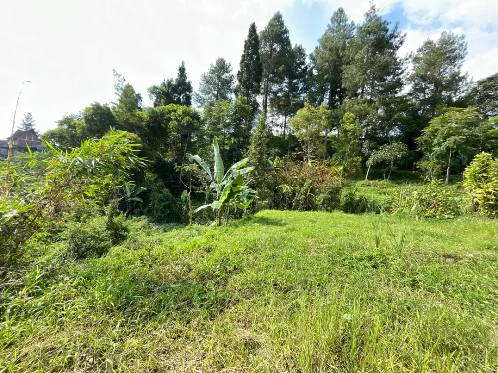 Tanah murah satu satunya di megamendung puncak bogor hak milik