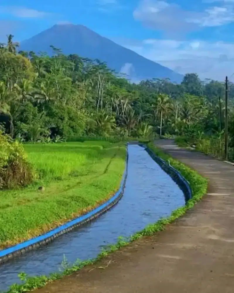 Menjalankan dengan amanah dan jujur cekatan, konsisten