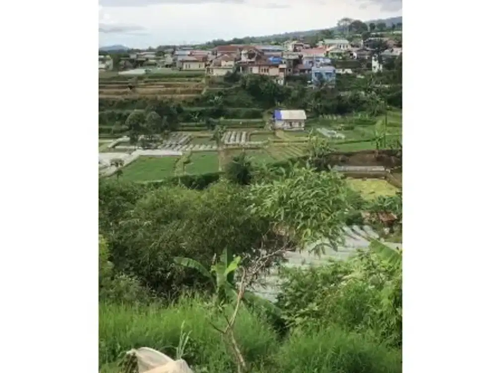 Sangat Murah Tanah Komersil Pinggir Jalan Raya di Cipanas, Cianjur