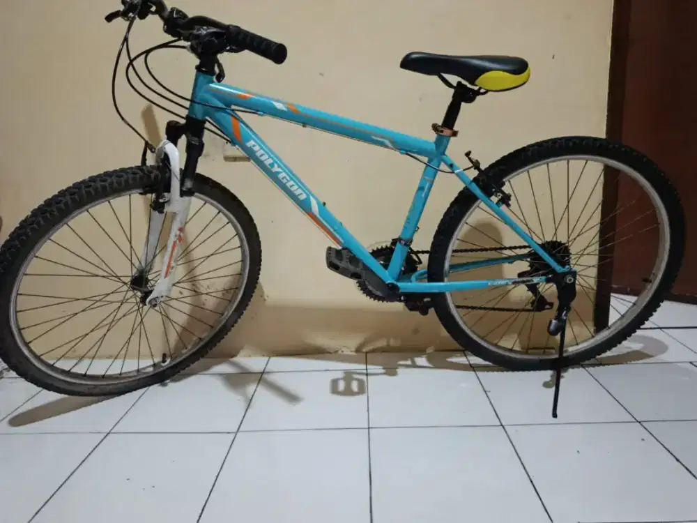 Sepeda Polygon monarch