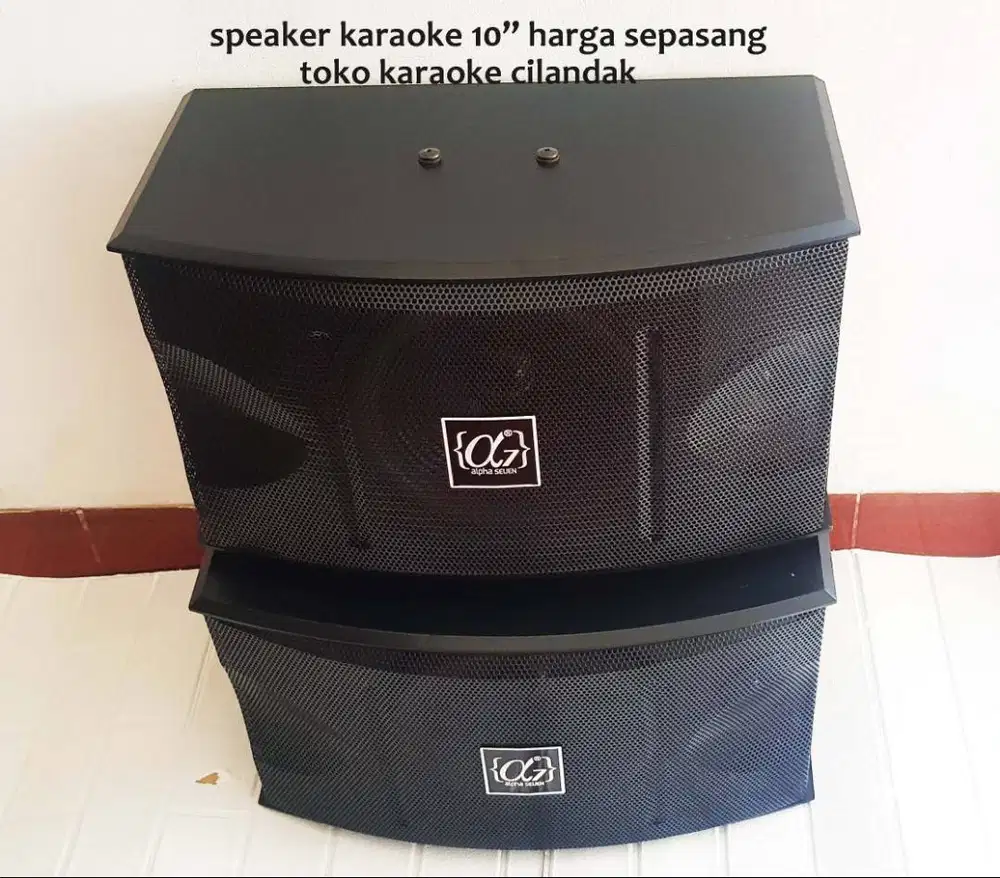 speaker pasif 10in sepasang