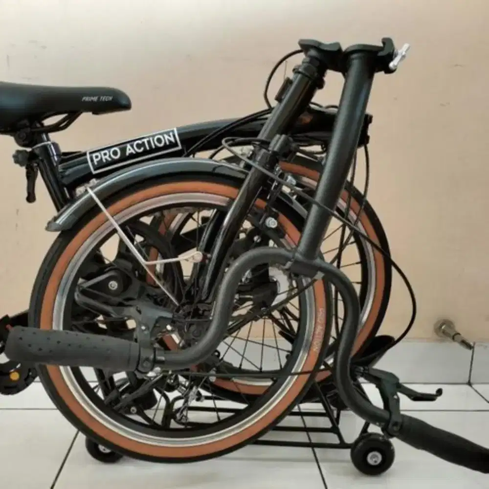 Pro action parrot hitam