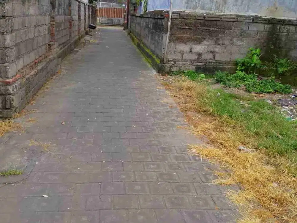 Jual Tanah Harga Global Luas 1.94are Lokasi Cekomaria Denpasar Utara