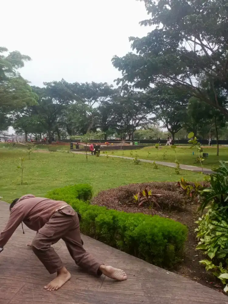 JASA RAWAT TAMAN DAN TANAMAN