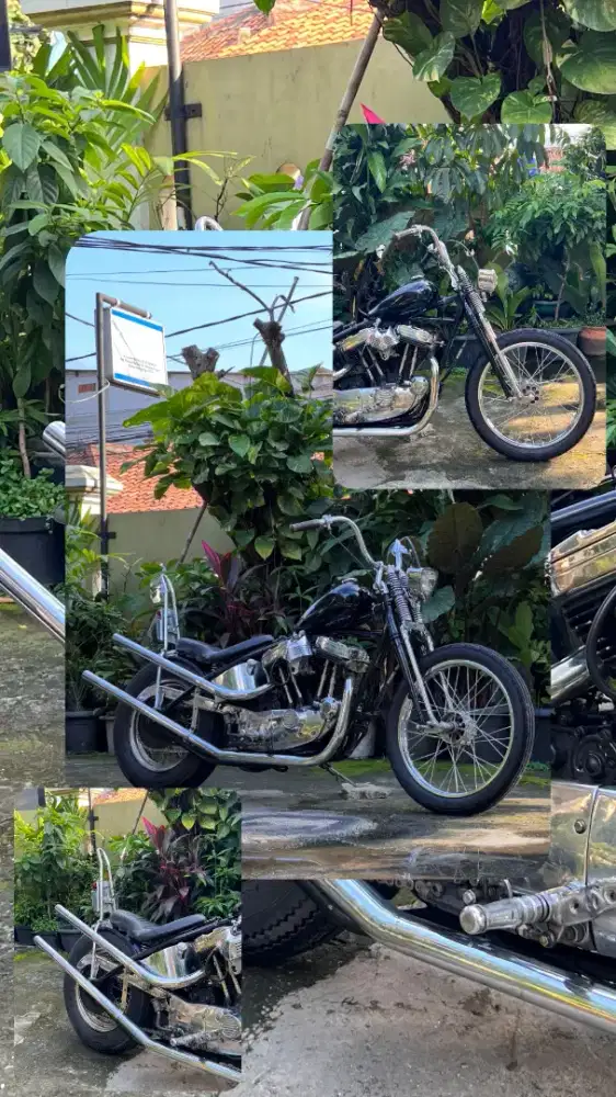 chopper basic sposter