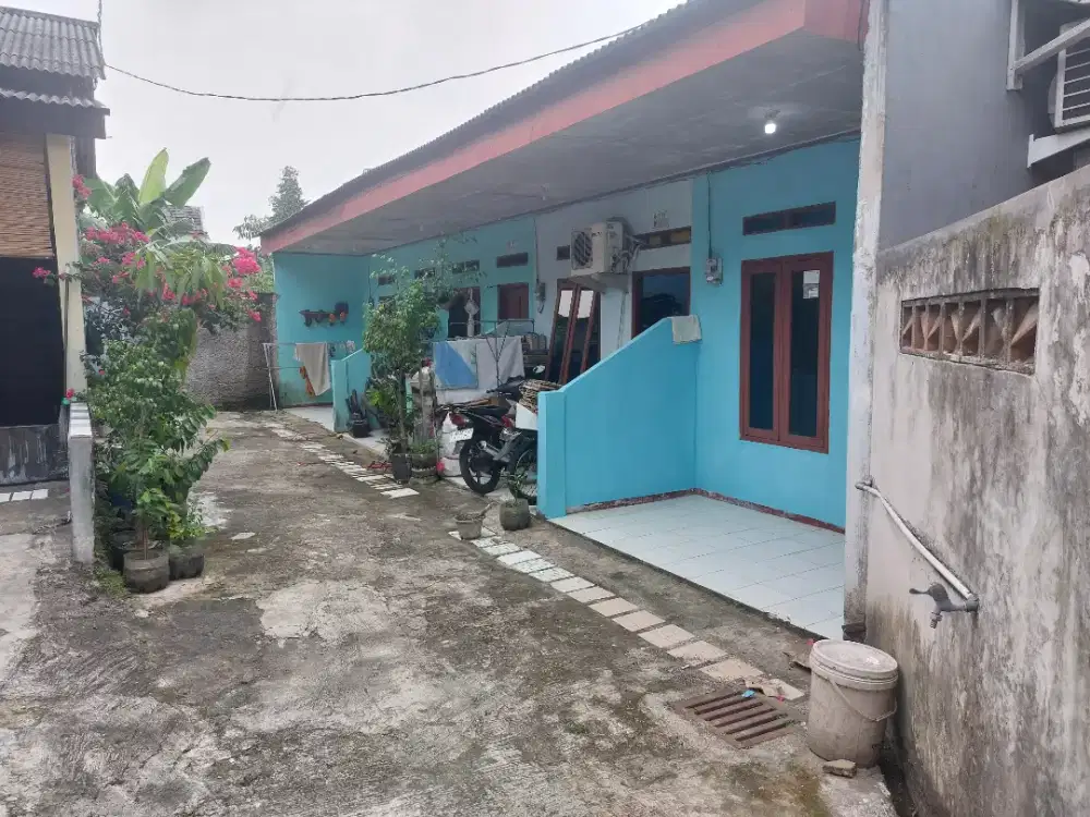 Disewakan kontrakan asri dan strategis