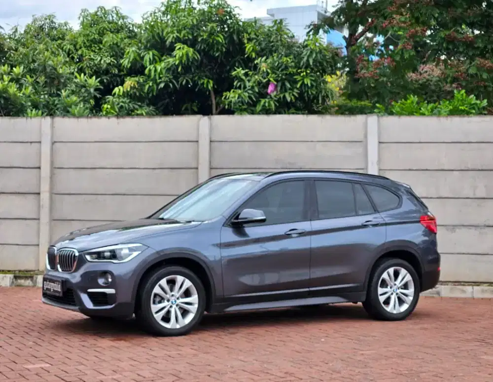 BMW X1 Dynamic 2018