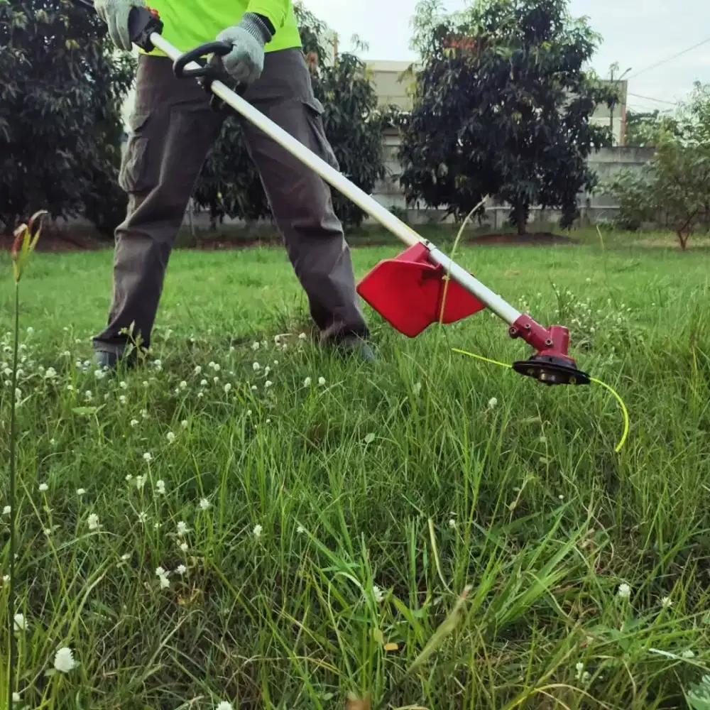 Jasa Potong Rumput Sleman