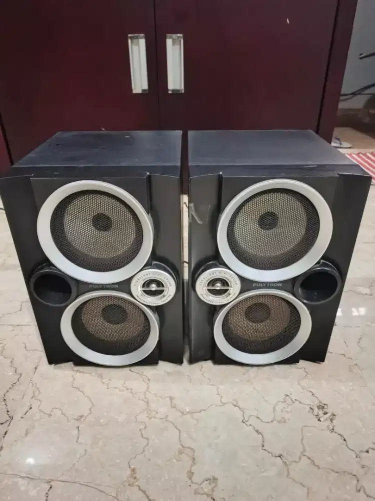 SPEAKER POLYTRON PASIVE