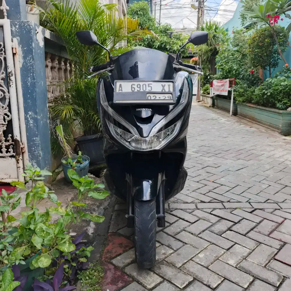 Honda PCX 150 2019 cakep