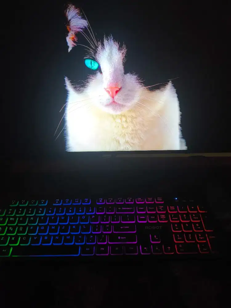 Xiaomi Gaming Monitor G27i Refresh Rate 165Hz Fast IPS FHD 1ms GTG