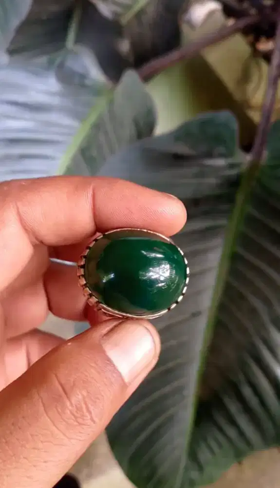 IJO GARUT CIANGEL - HIJAU BOTOL - JUMBO MUMBUL