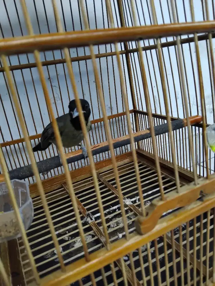 Samyong Rawatan Lama