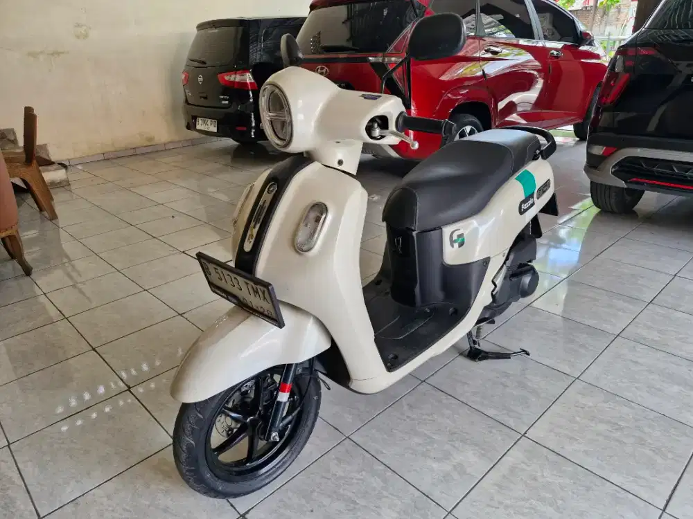 Fazzio neo 2023 cakepp