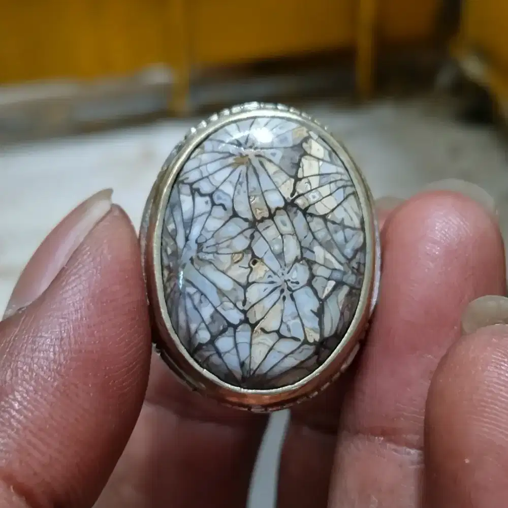 Fosil white lotus natural