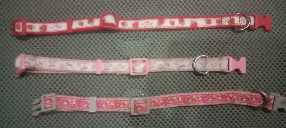 Kalung Anjing atau Kucing Doggy Man, Pexz Route