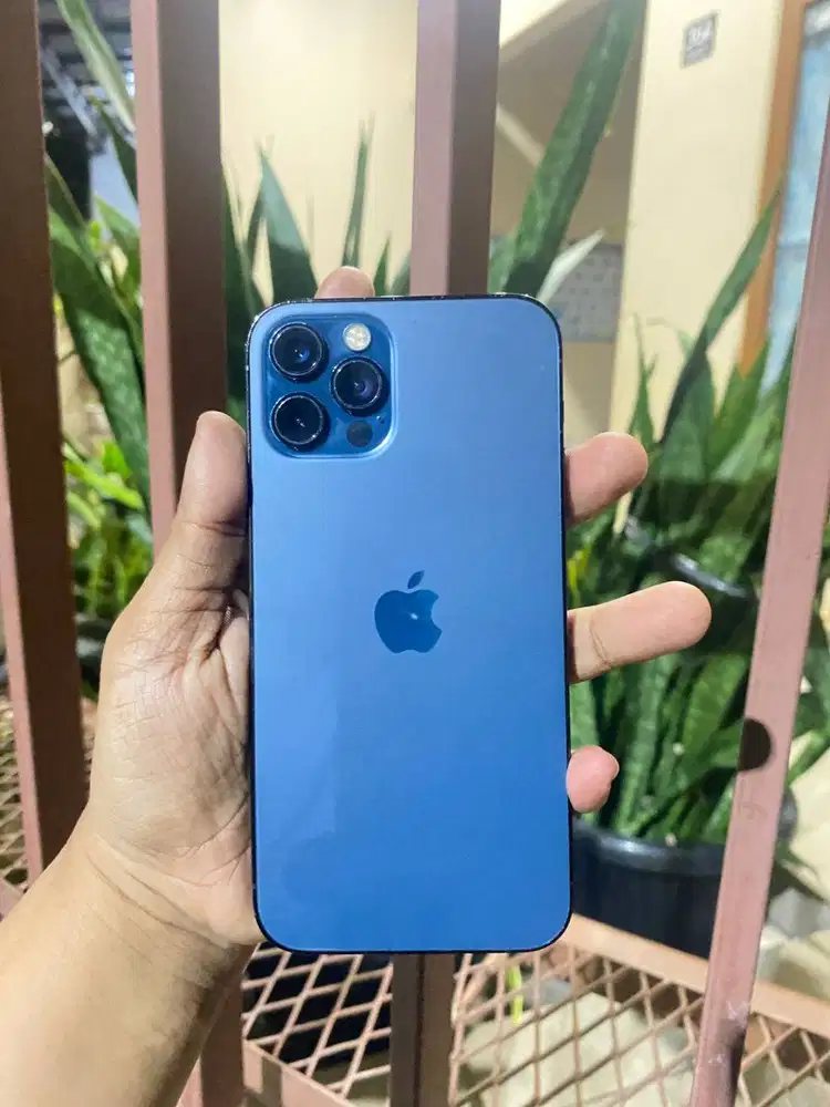 Di jual cepat Iphone 12 pro 128 Pasific Blue