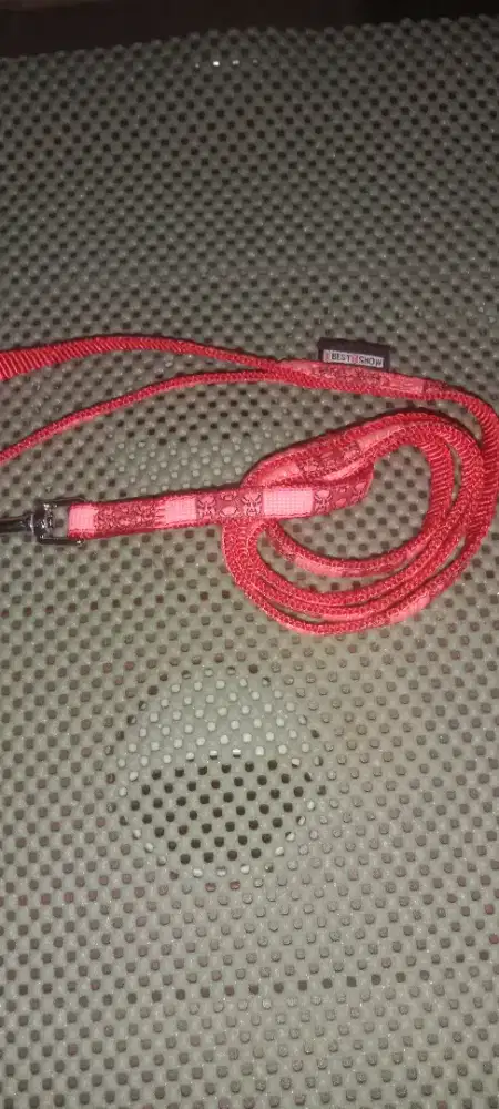 Tali Anjing atau Kucing Best Show