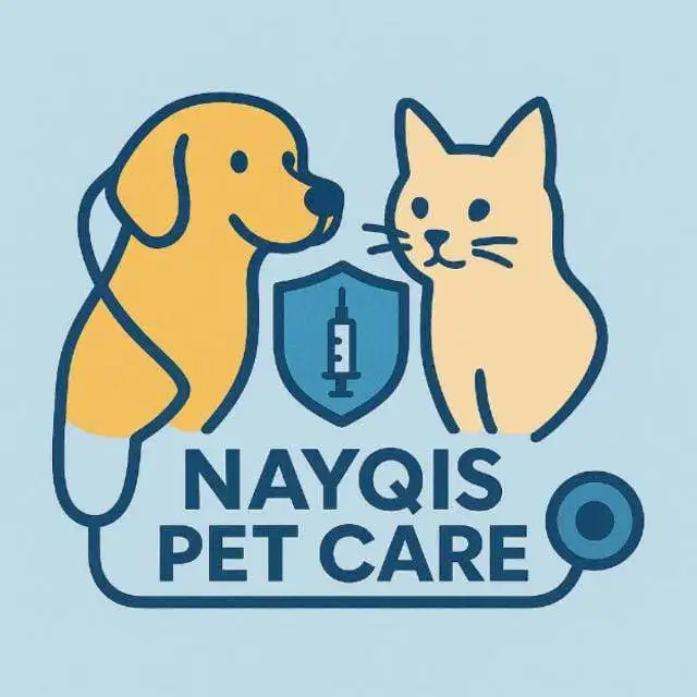 Dicari Staff Produksi Konten Sosmed