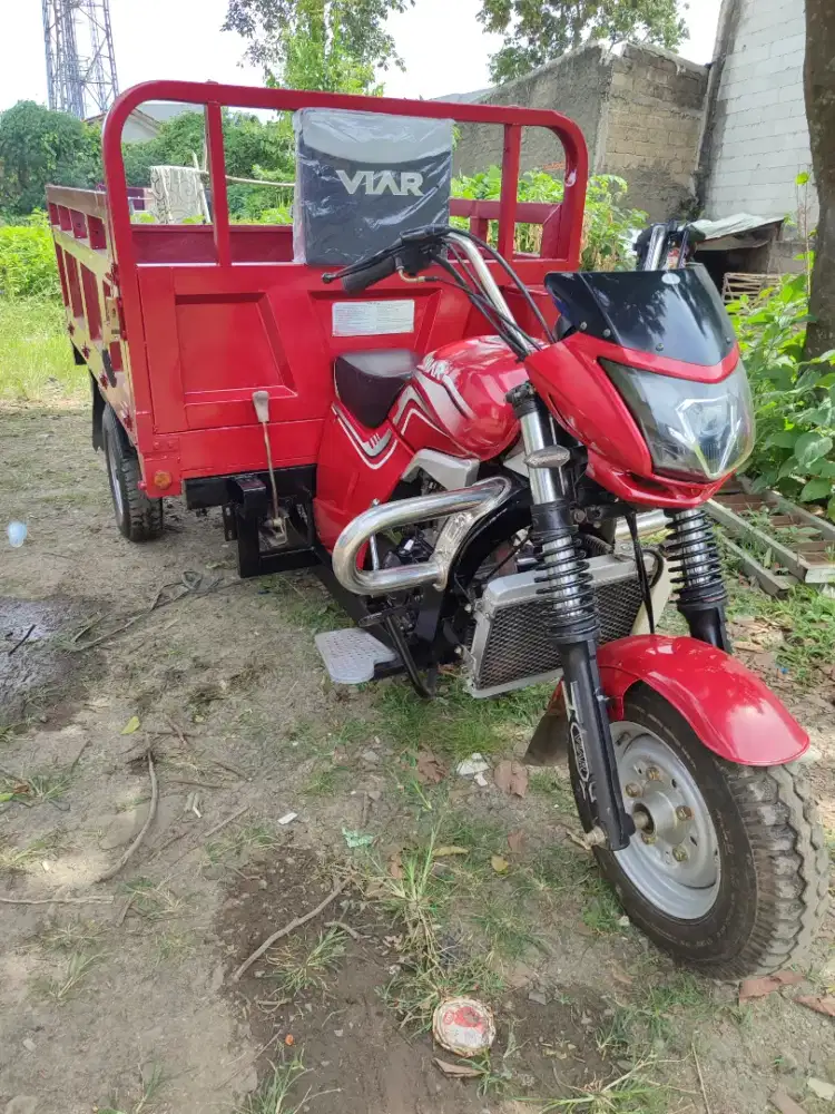 Viar 300cc istimewa