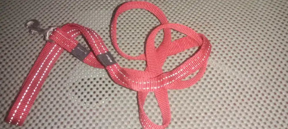 Tali Anjing/Kucing roqz