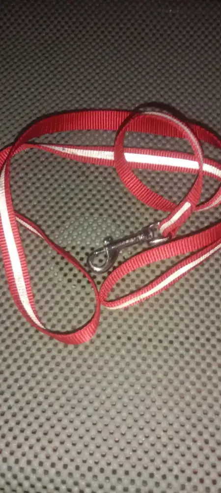 Tali Anjing atau Kucing stripe silver