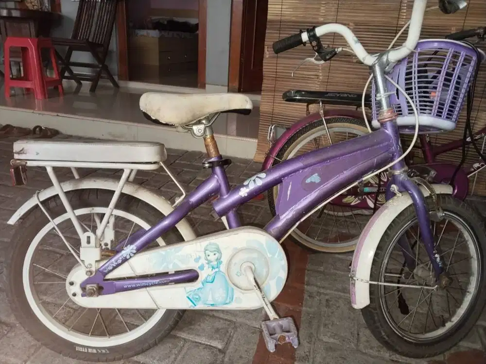 sepeda anak anak kondisi normal bekas