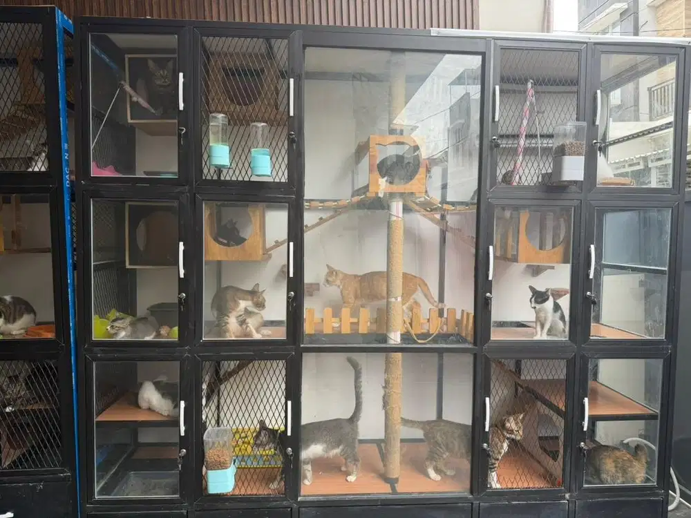 Dijual kandang kucing bekas