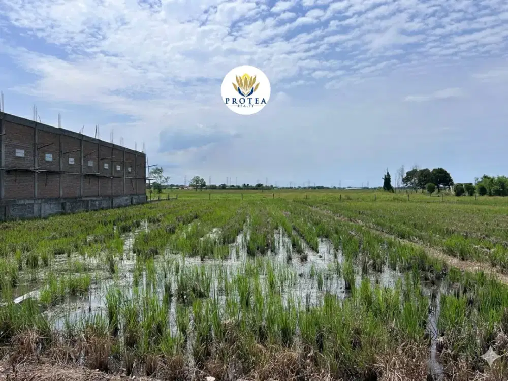 Dijual Tanah Darat Pinggir Jalan Strategis di Babelan, Bekasi