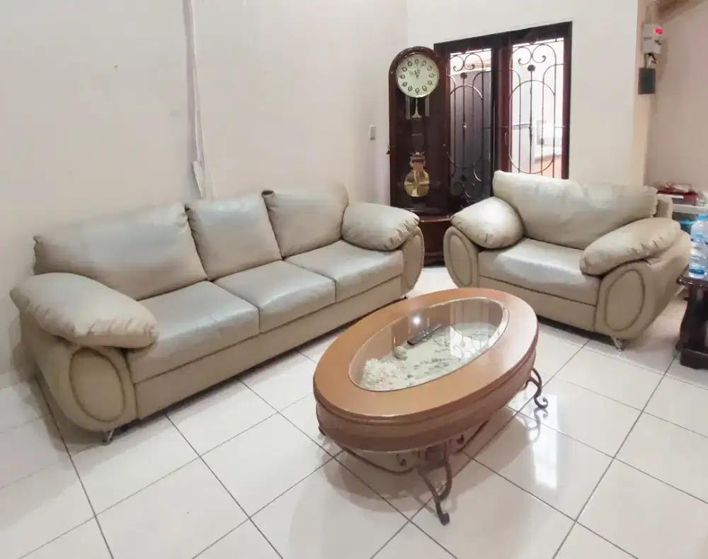 Sofa Set (3 + single seater)