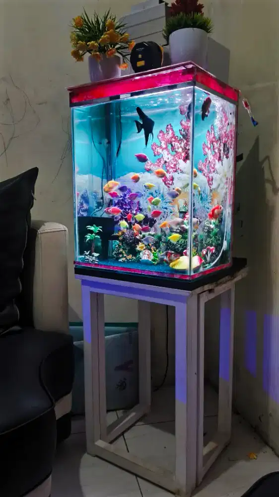 Jual aquarium full set+ikan+hiasan.. udah jalan 1th